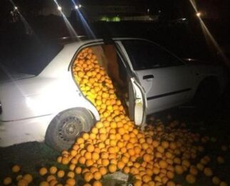 Detienen a cinco personas con 4.000 kilos de naranjas en el coche y alegan que son para consumo propio