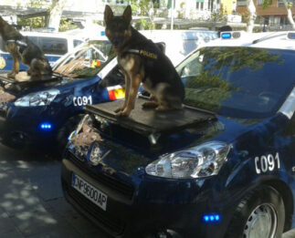 Los perros de la Poli detectan mochilas con estupefaciontes en colegio de Marbella
