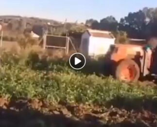 La labor del campo nunca había desencadenado una discusión tan divertida por estos dos abuelos: ‘Otra vez Antonio: ¡que no!’