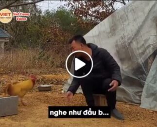 Cuando eres chino, cantas mal y tu gallo no te soporta.
