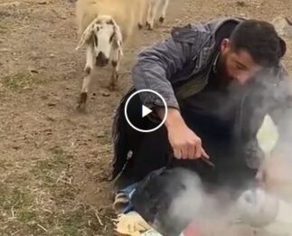 Cuando hay poco pasto en el campo para animales